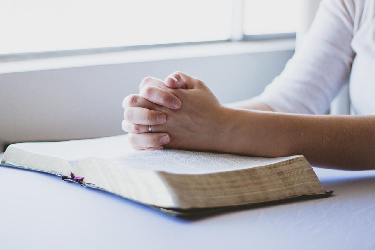 Unter Mariens Mantel: Britische Jugend findet den Weg zu Christus